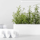 Click & Grow Mini Smart Garden | $75 | Amazon
